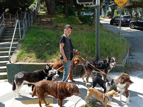 L'Esprit San Francisco-旧金山必去景点