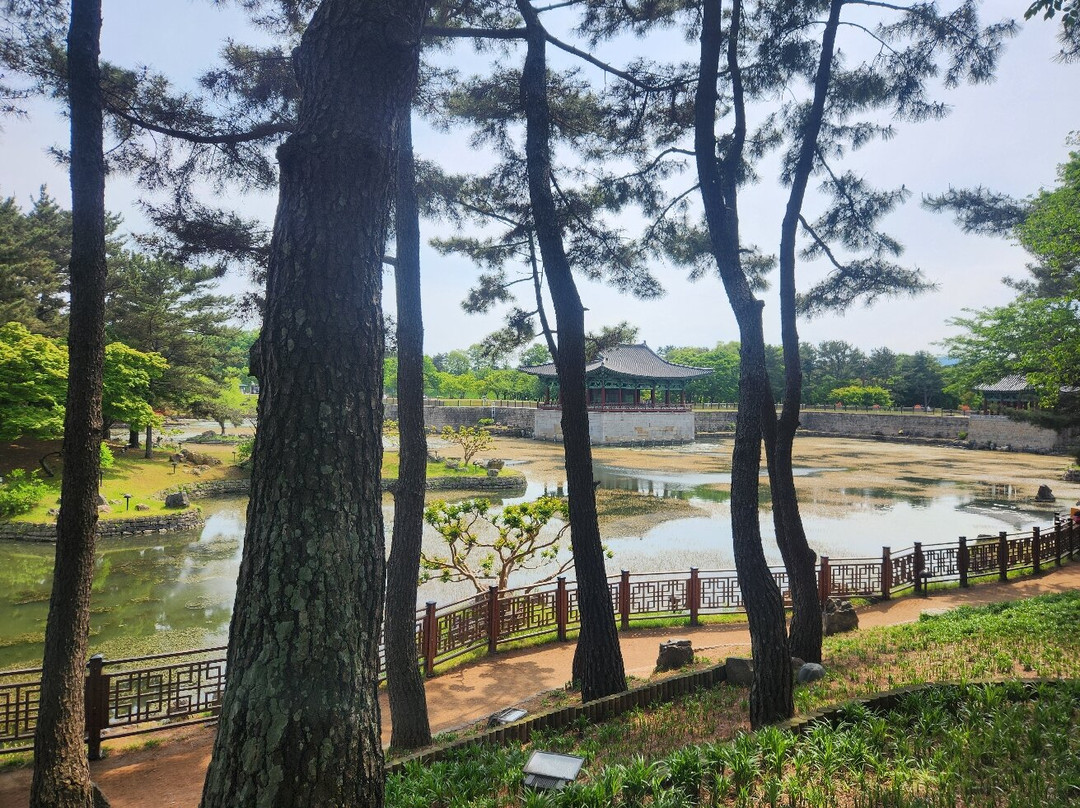 雁鸭池-庆州市必去景点