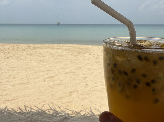 Trinco Beach By DSK主图