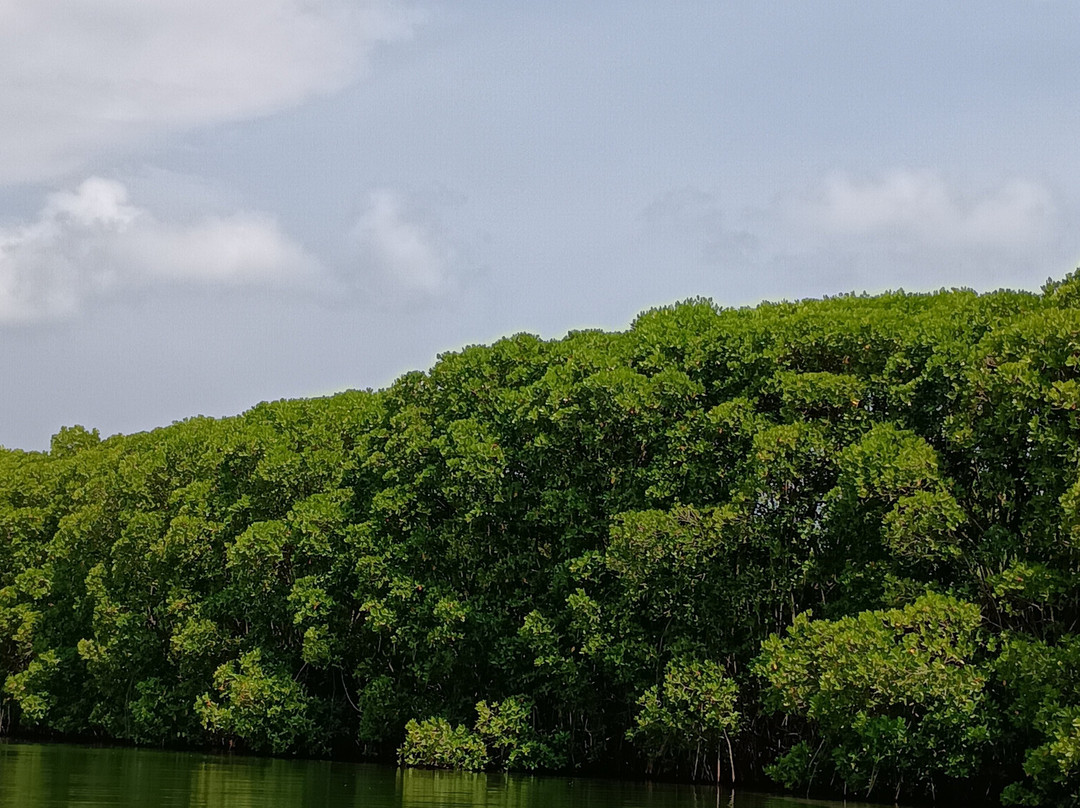 Birthplace of Sri Adi Shankara-Kalady必去景点