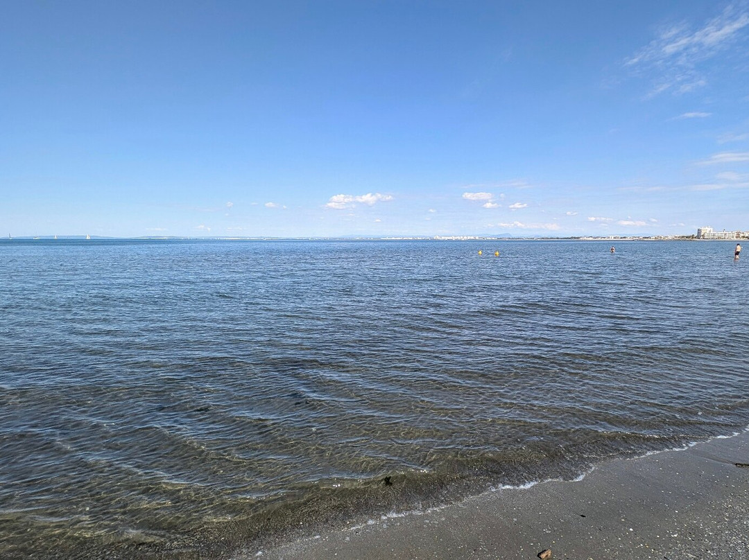 Plage de l’Espiguette-勒格罗迪鲁瓦必去景点