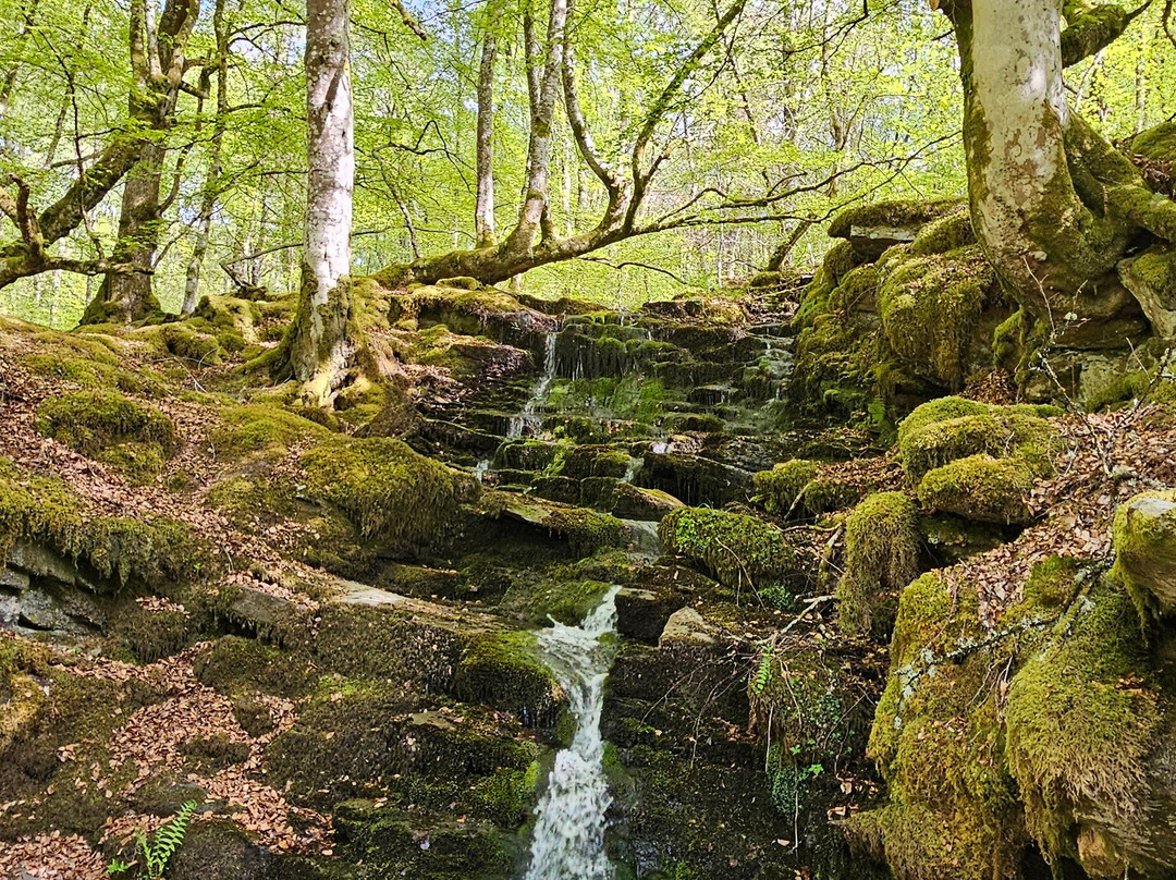 The Birks of Aberfeldy-Aberfeldy必去景点