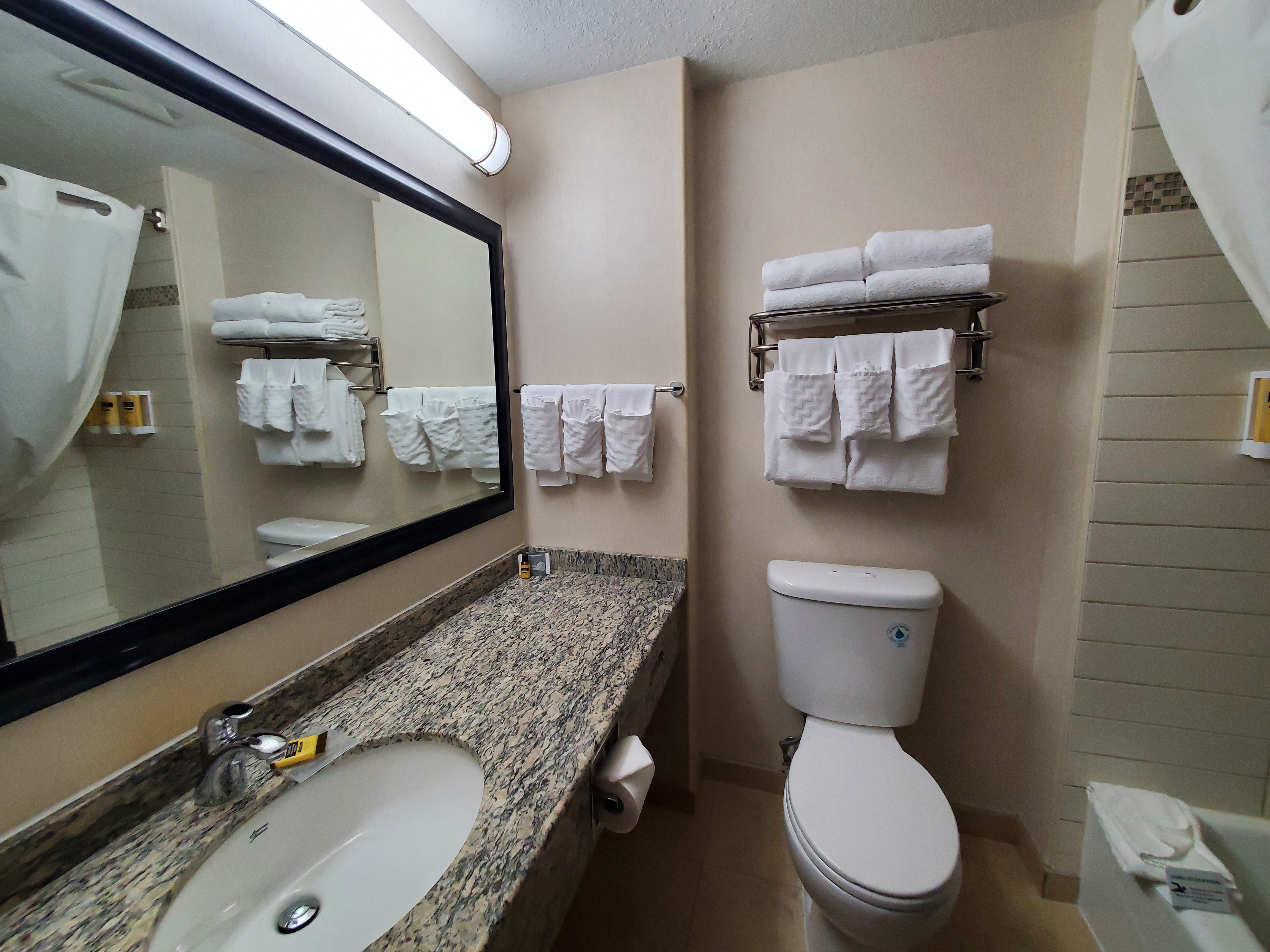 Best Western Plus The Inn At St. Albert-浴室