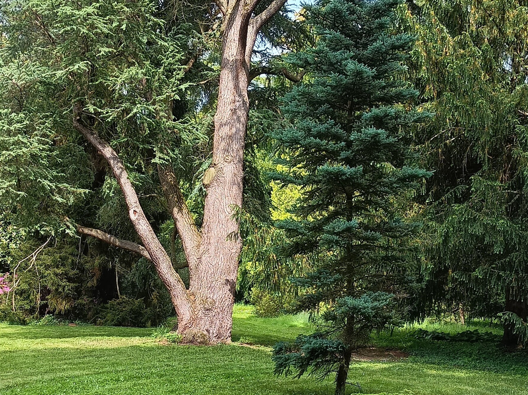 Parc de l'Arboretum-昂热必去景点