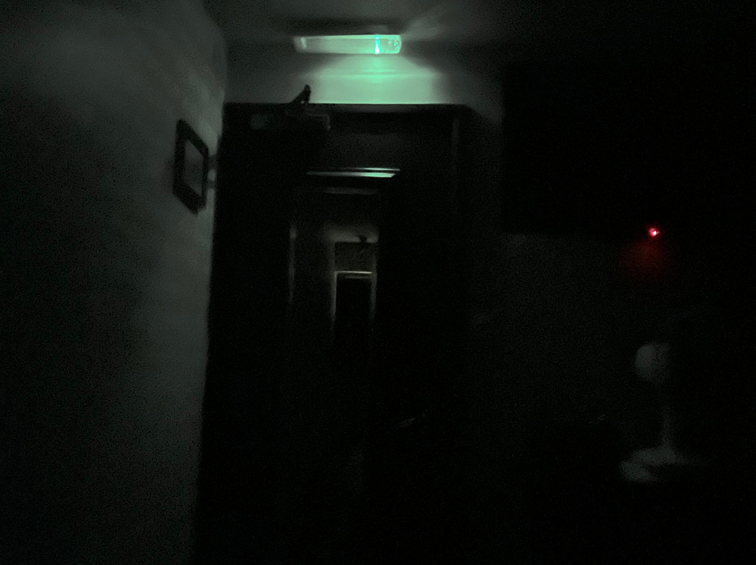 The Greenman, Fownhope主图