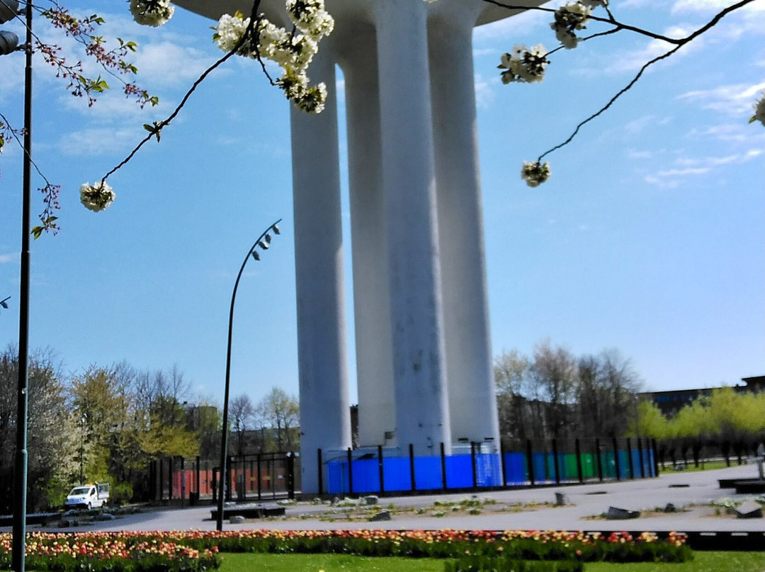 Mother-马尔默必去景点