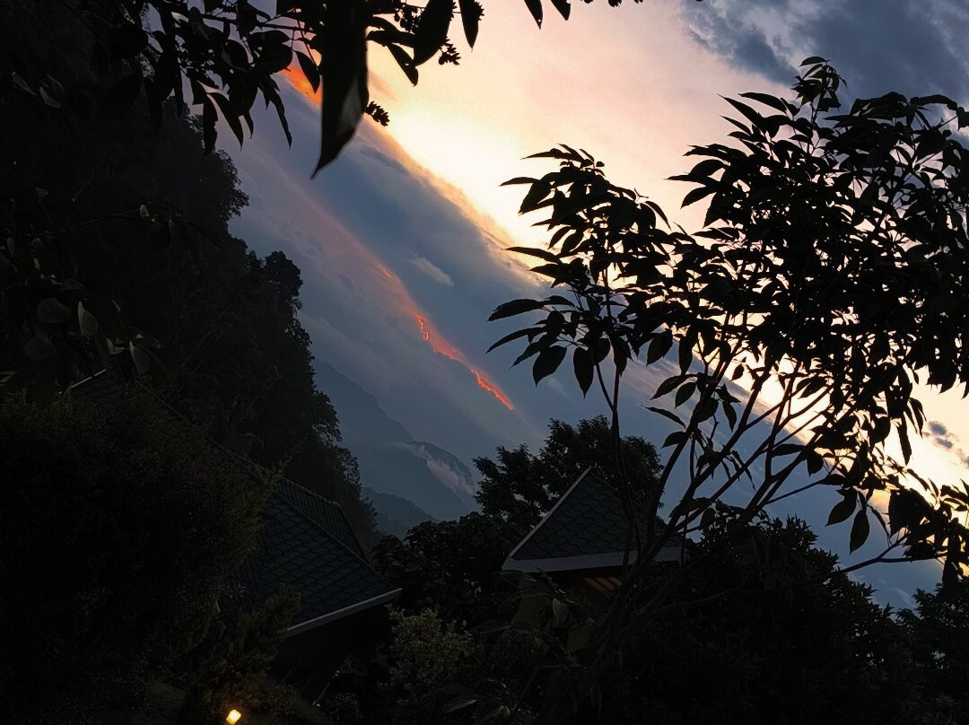 Aveda Mountains And Mist - Munnar主图