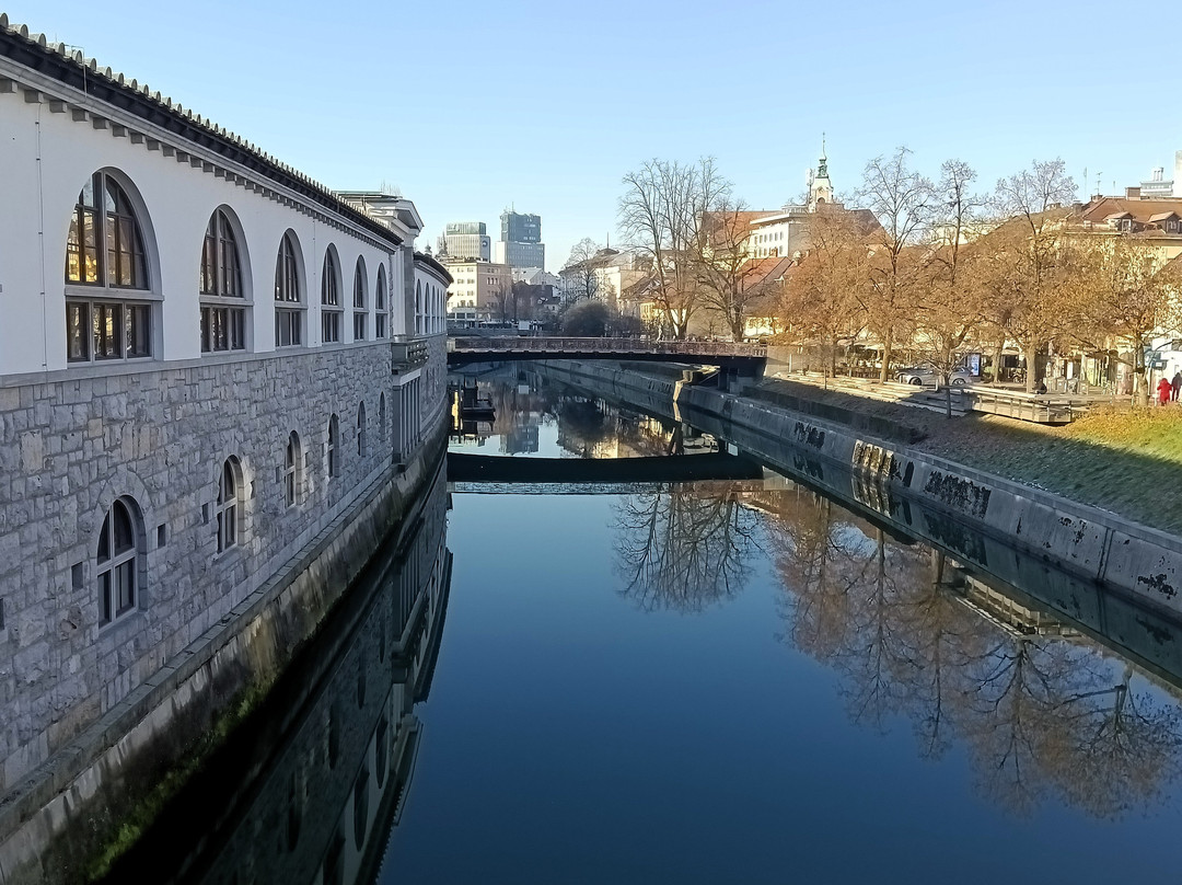 River Ljubljanica Kanal-卢布尔雅那必去景点