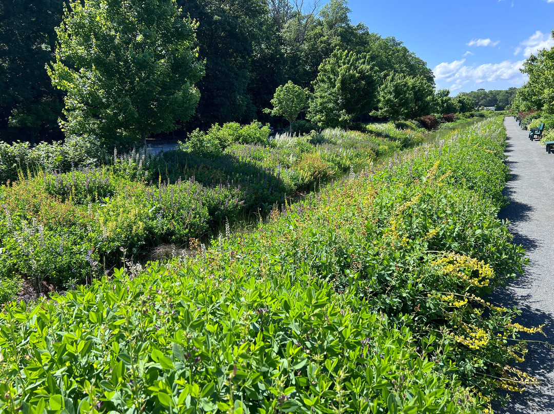 Delaware Botanic Gardens-Dagsboro必去景点