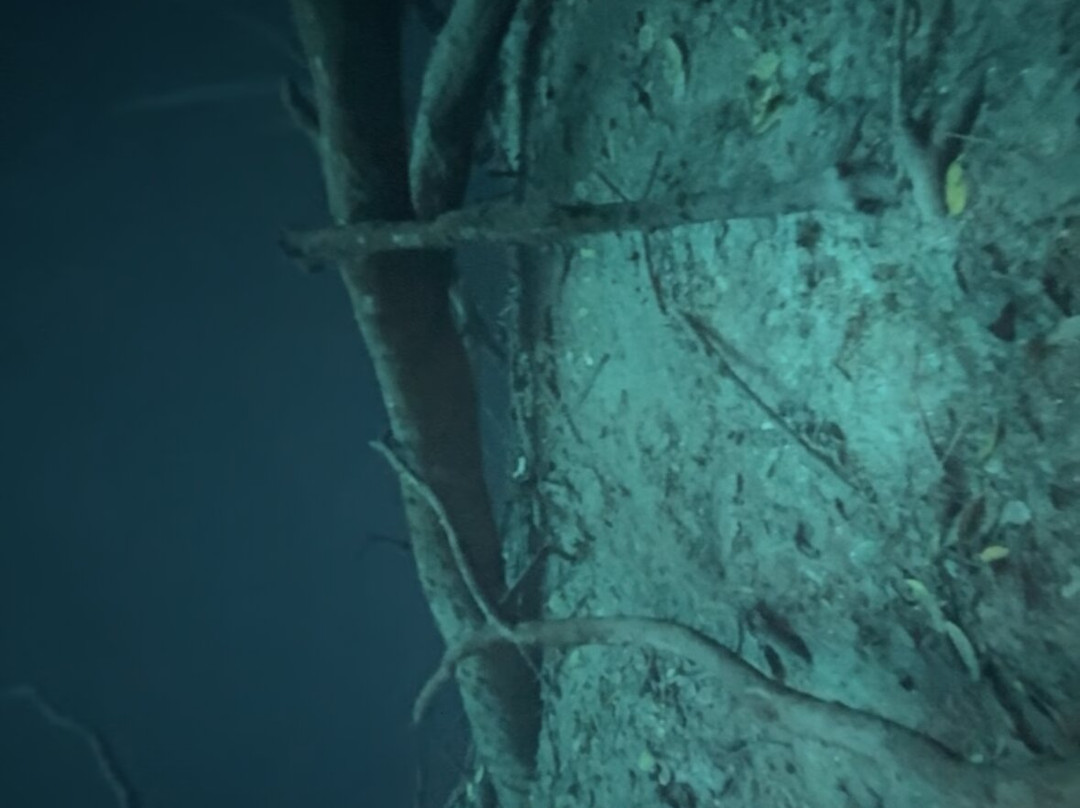 Blue Experience Diving-艾库玛尔必去景点