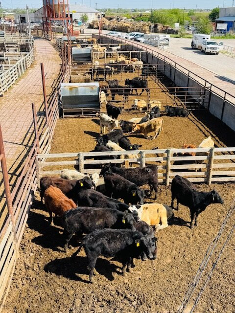 National Stockyard Exchange-俄克拉何马城必去景点