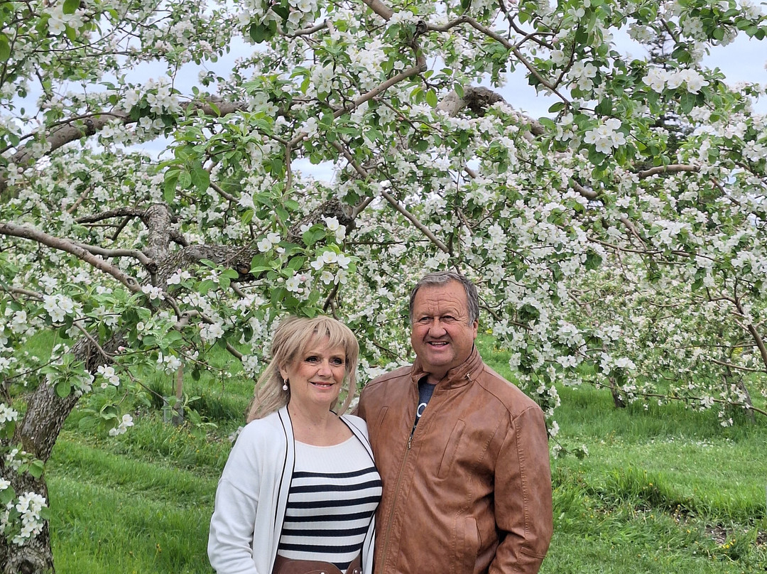 Jude-Pomme-Oka必去景点