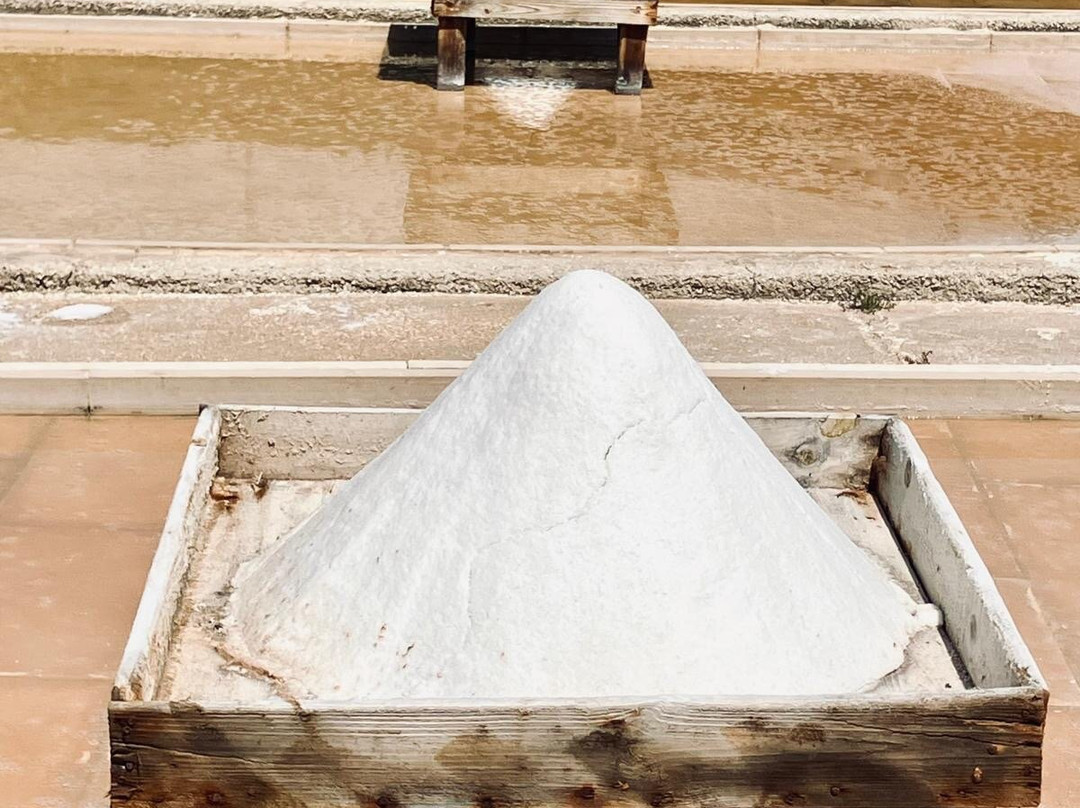 Salinas de Rio Maior景点图片