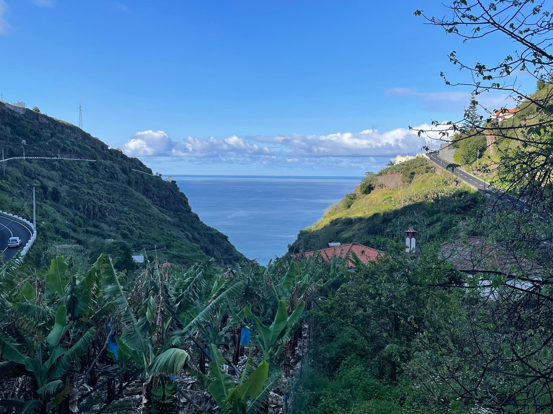 Banana Garden Glamping Madeira