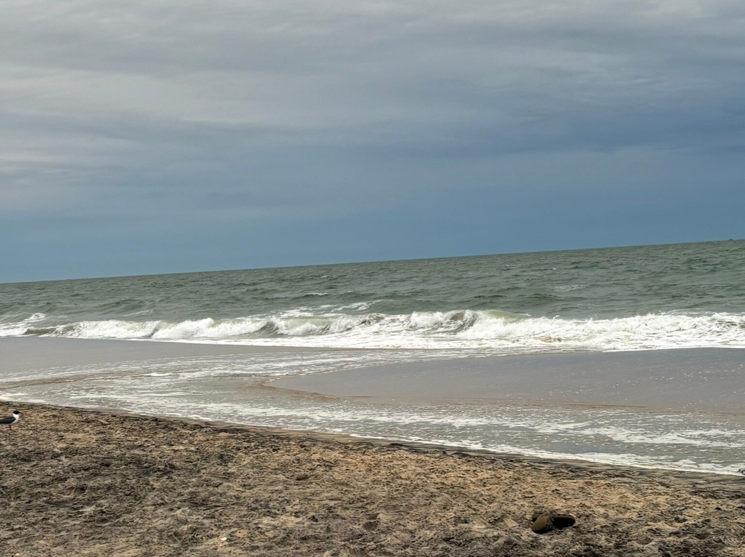 Assateague Beach-Assateague Island必去景点