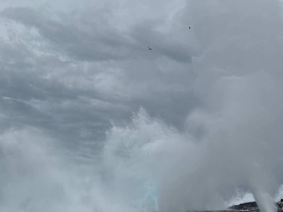 Alofaaga Blowholes-萨瓦伊岛必去景点