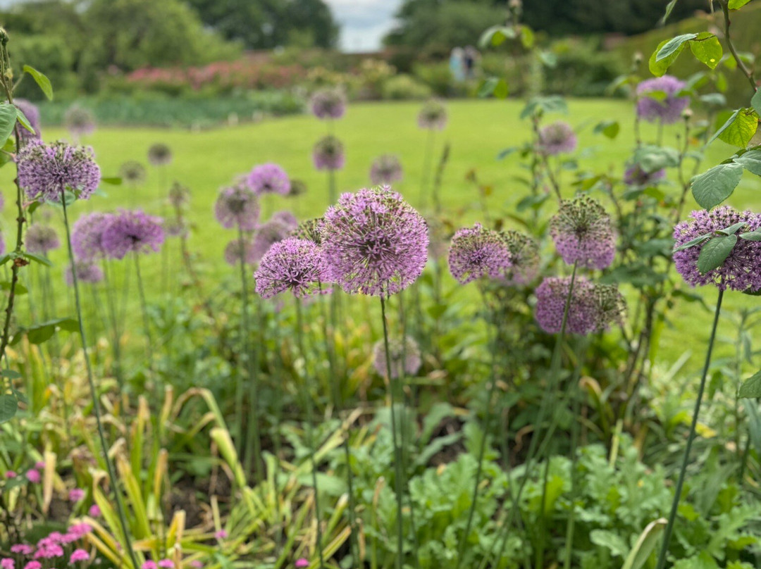 Gunby Hall and Gardens景点图片