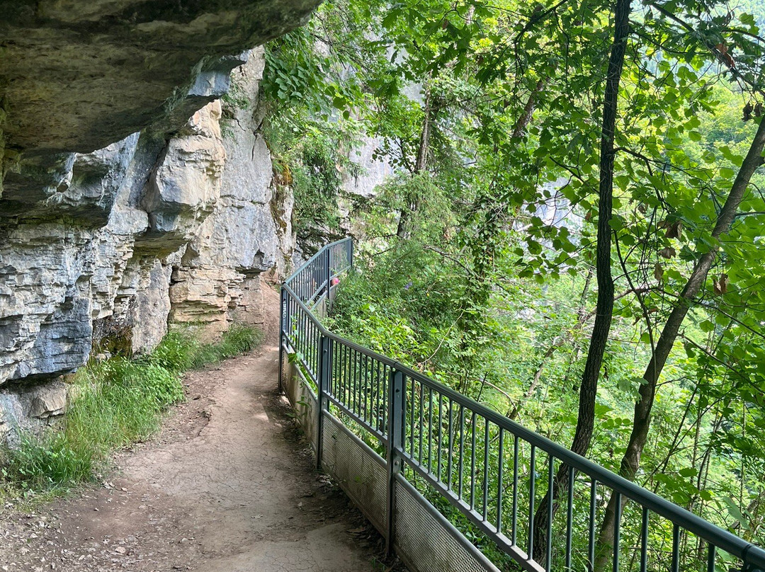 Cascade d'Angon景点图片