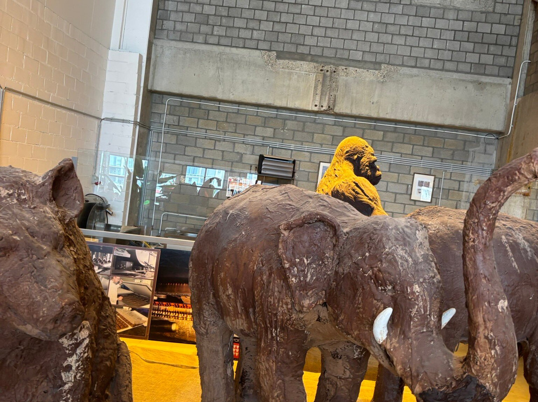 P&J Chocolate Factory Bruges-泽布鲁日必去景点
