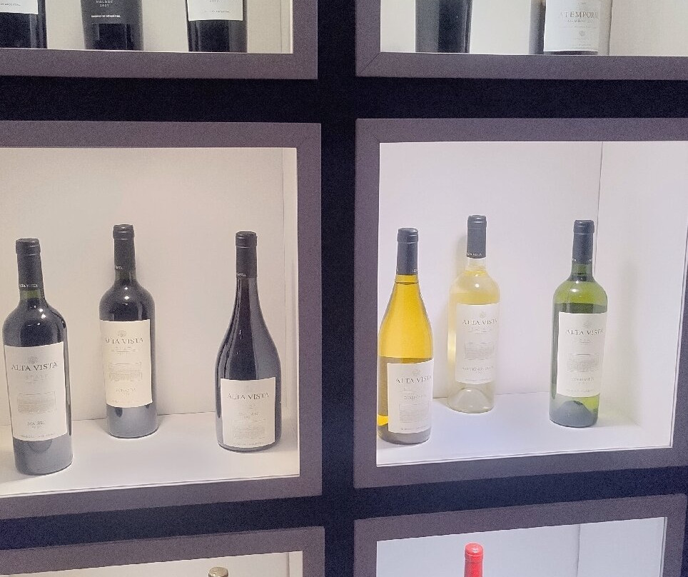 Bodega Alta Vista景点图片