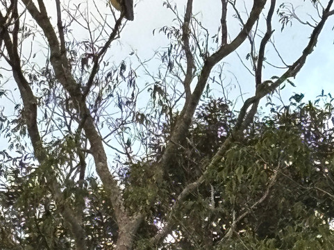 Estancia Tacuaty主图