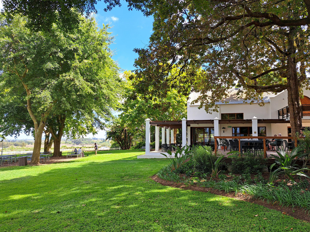 Simonsig-斯泰伦博斯必去景点