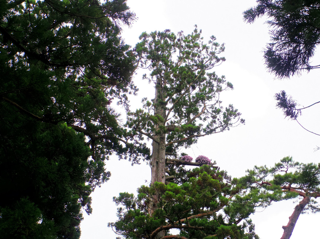 Zuigan-ji Temple Main Hall-松岛町必去景点