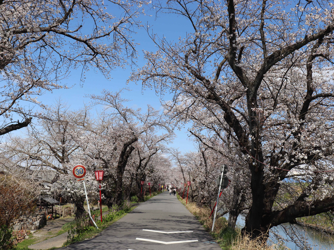 Sunomata Castle-大垣市必去景点