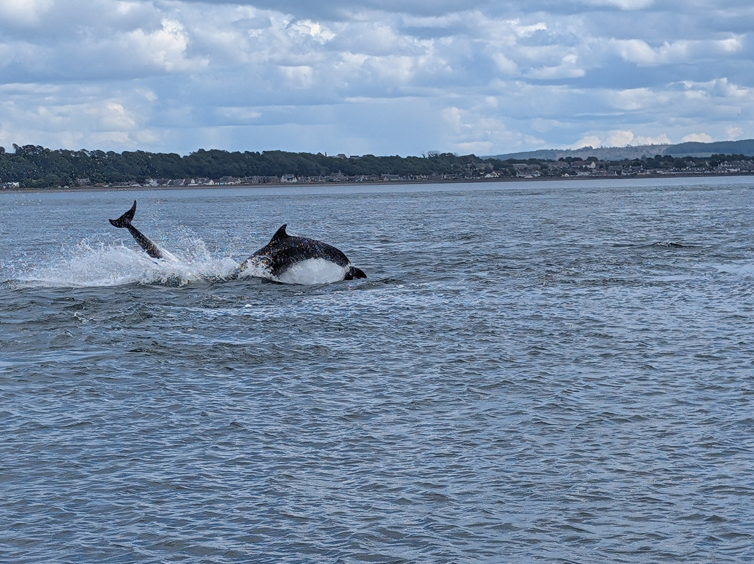 Chanonry Point景点图片