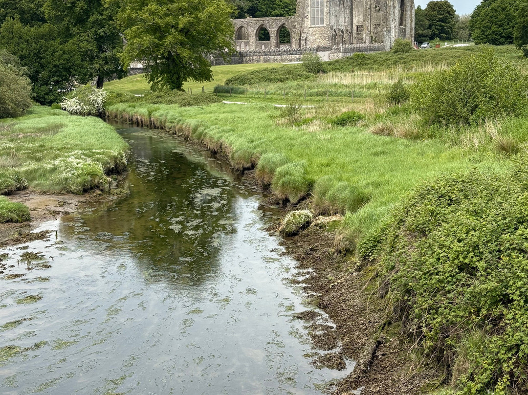 Tintern Abbey-Saltmills必去景点