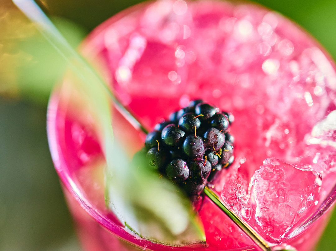 Black Apple Hard Cider-Springdale必去景点