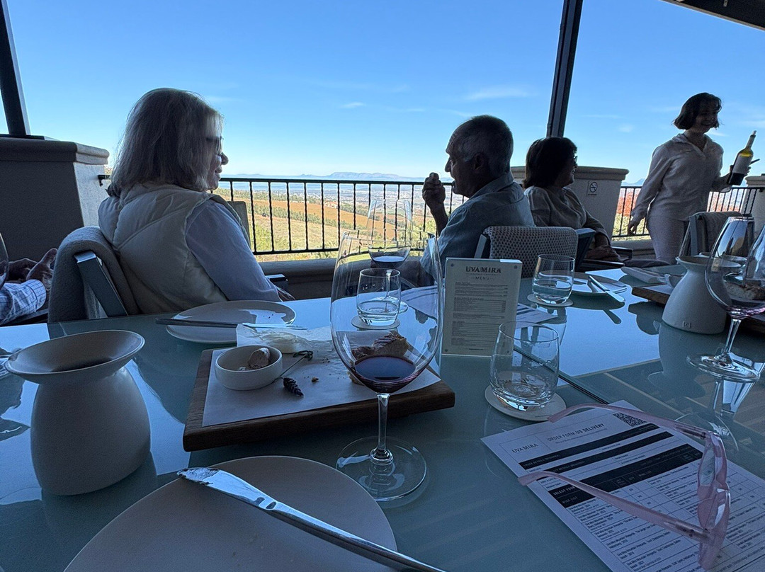 Uva Mira Mountain Vineyards-斯泰伦博斯必去景点