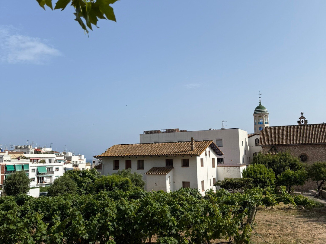 Centre d'Interpretacio De La Malvasia-锡切斯必去景点