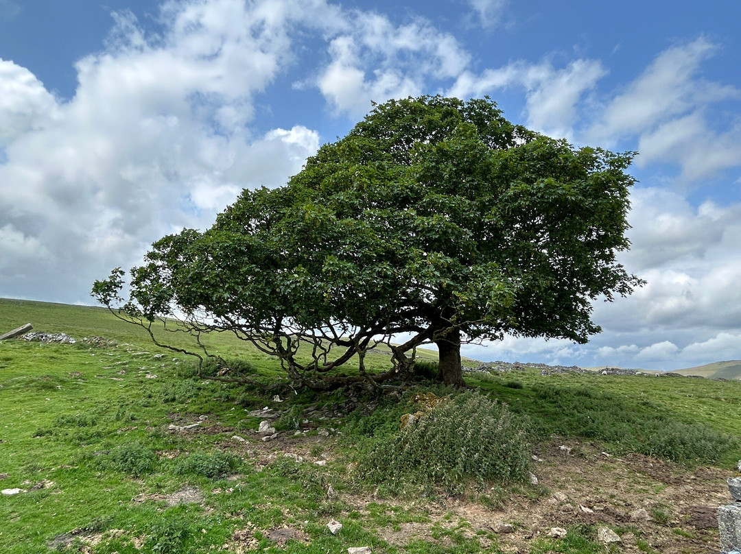 Cave Dale-Castleton必去景点