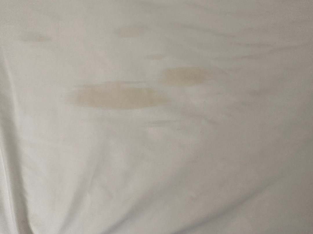 Econo Lodge Inn & Suites Shelbyville主图