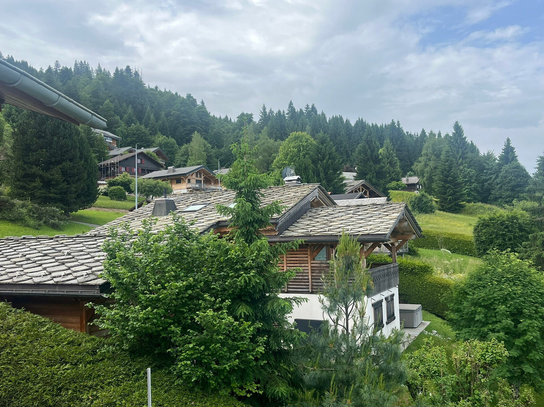 德凡坎西斯莱斯夫露康斯福特小村酒店主图
