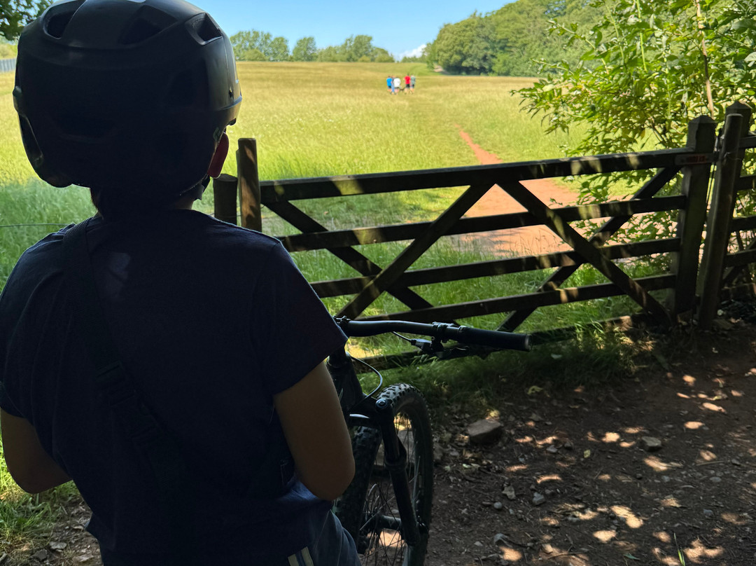 Pedal Progression-布里斯托尔必去景点