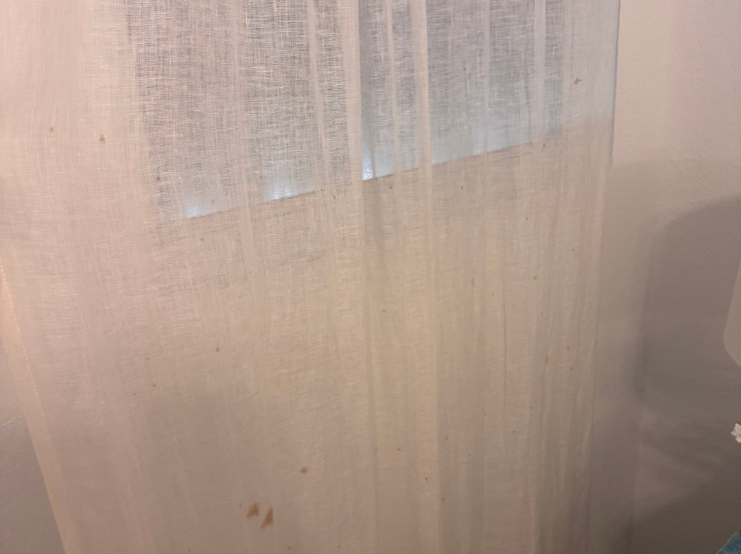 Bimini Cove Resort & Marina主图