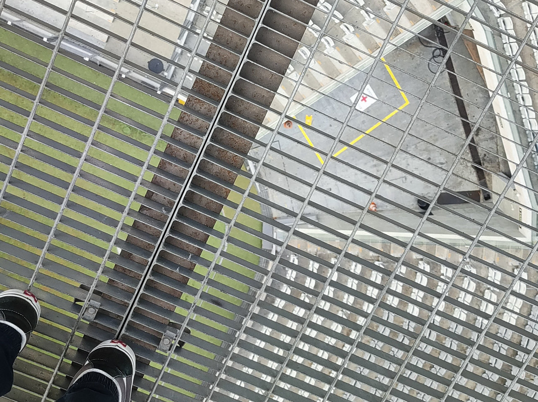 Ligga Arena-库里提巴必去景点