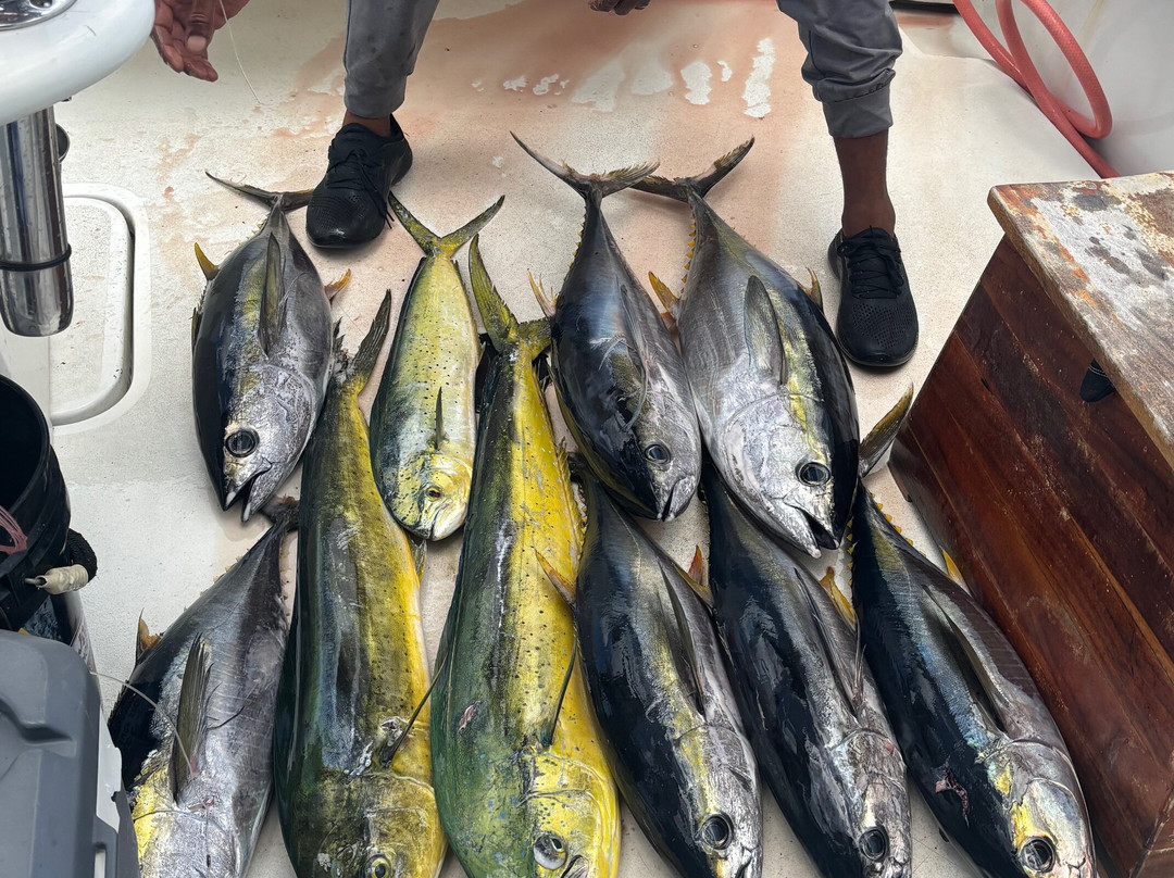 Fish Curacao Charter Fishing & Trips-威廉斯塔德必去景点