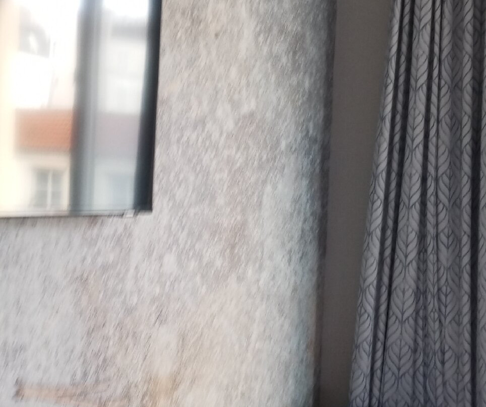 Hotel Charlemagne主图