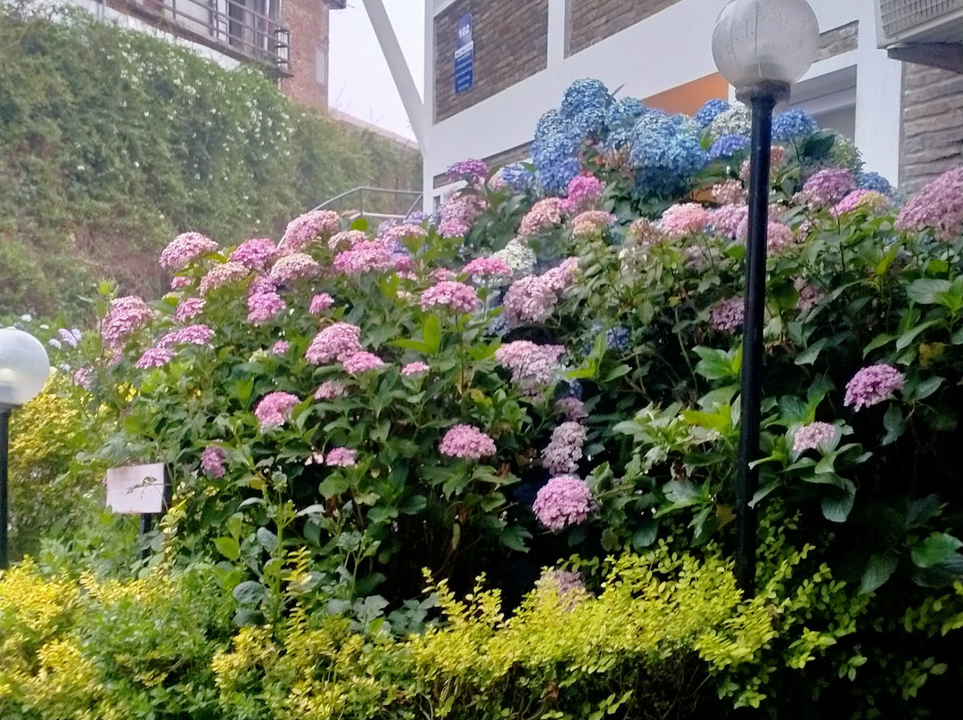 万寿菊度假别墅主图