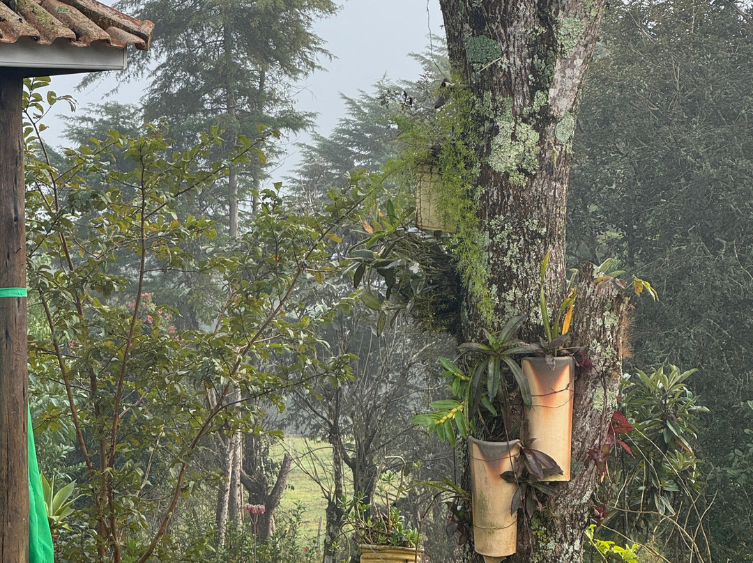 Contemplario-Cunha必去景点