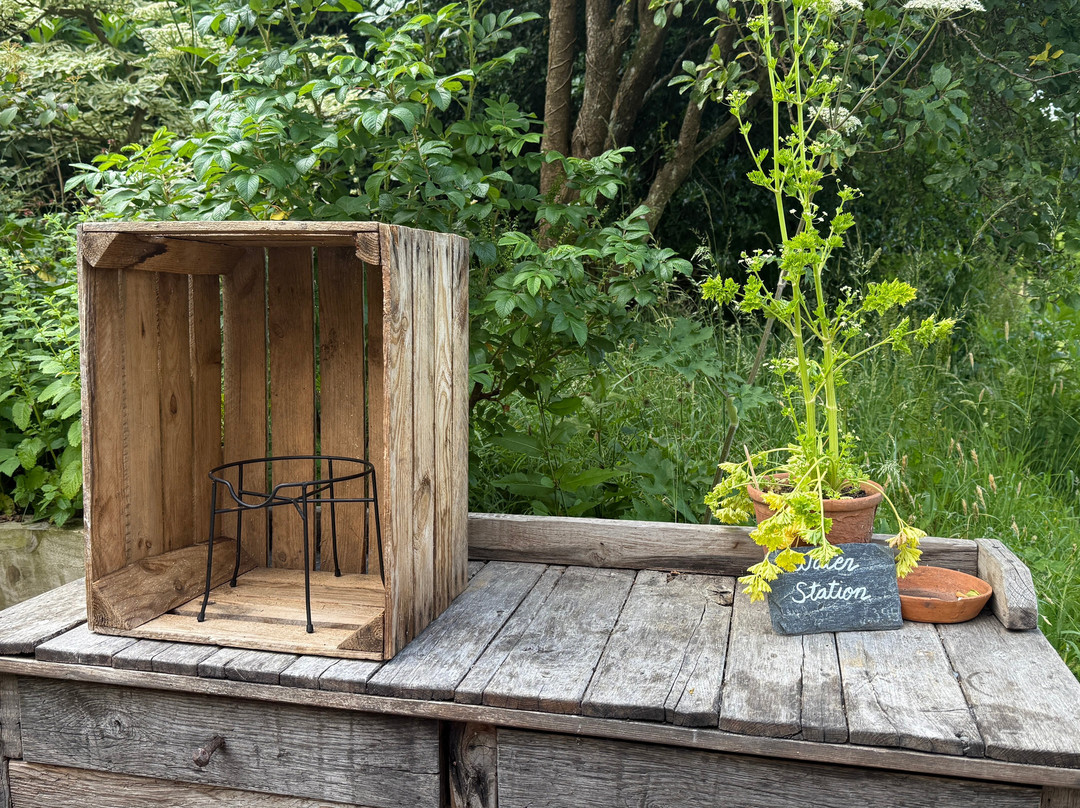 THE PIG - at Combe主图