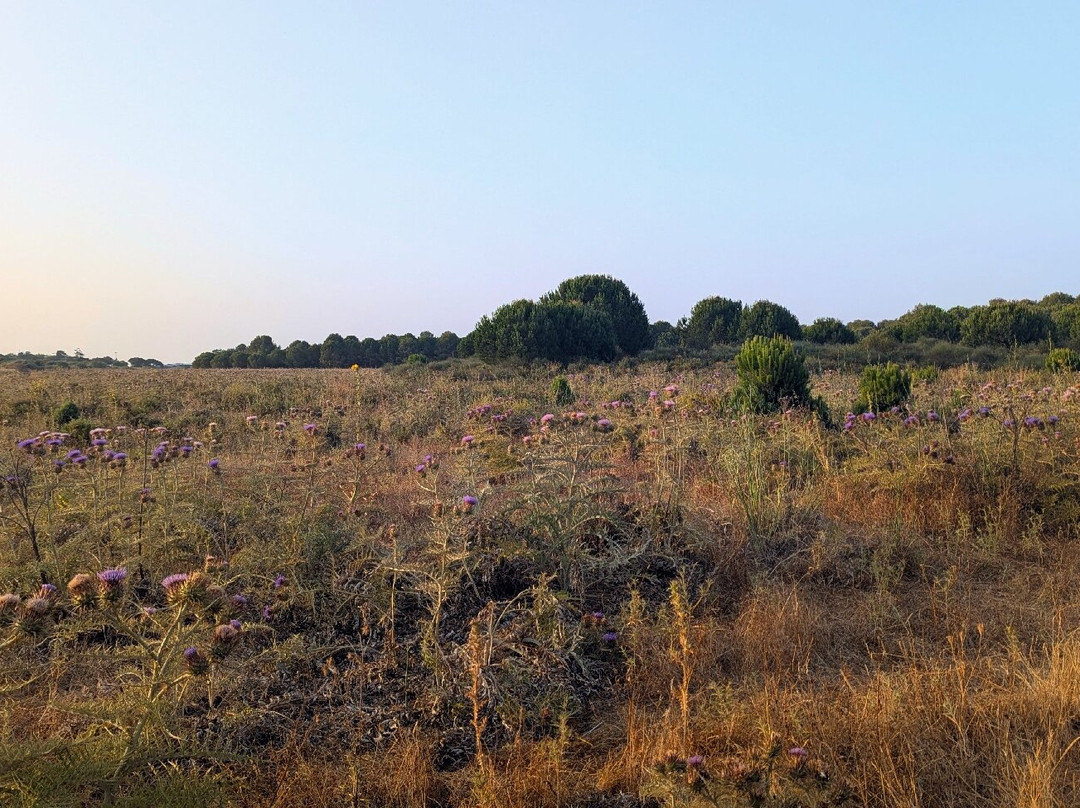 Vilamoura Environmental Park