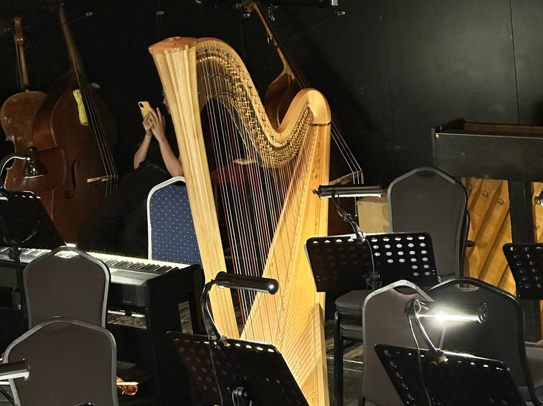 The Armenian National Academic Theater of Opera and Ballet named after Alexander Spendiaryan-埃里温必去景点