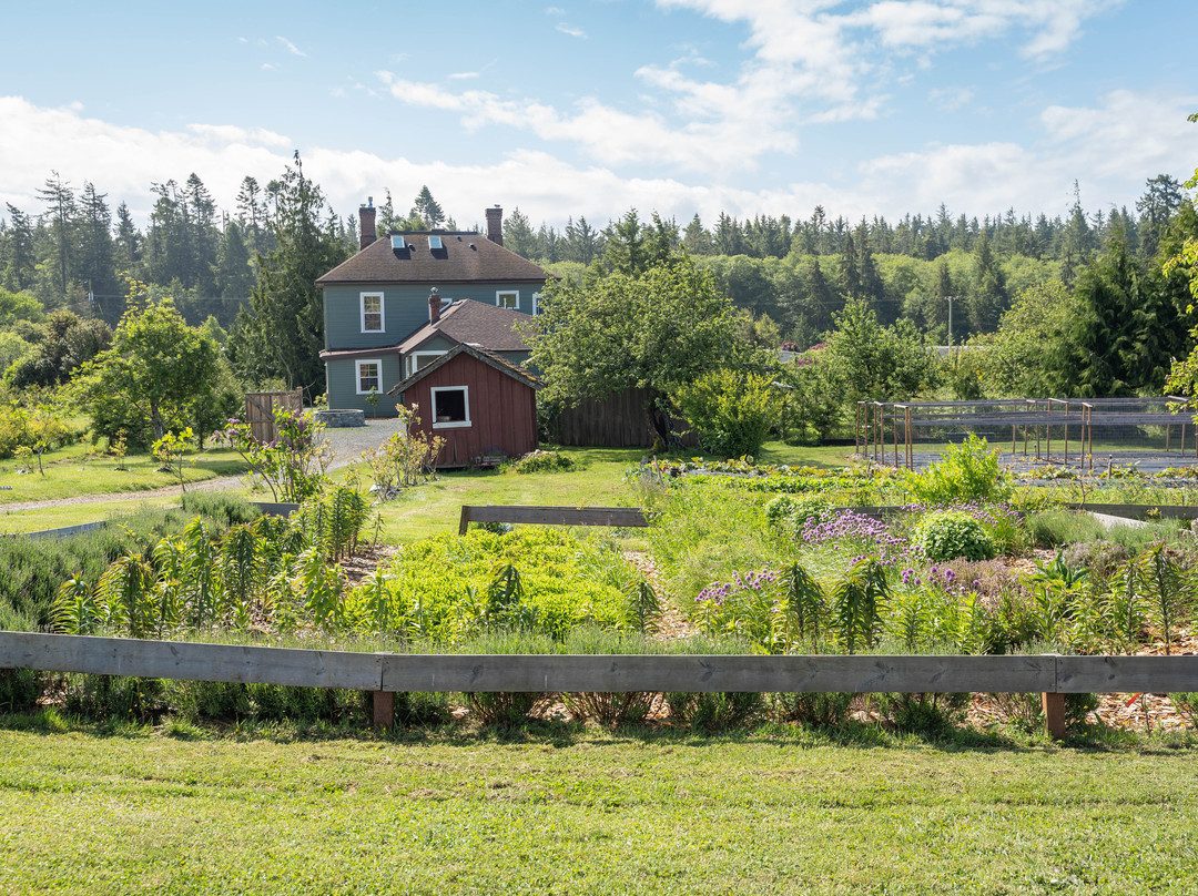 Woodside Farm-苏克必去景点