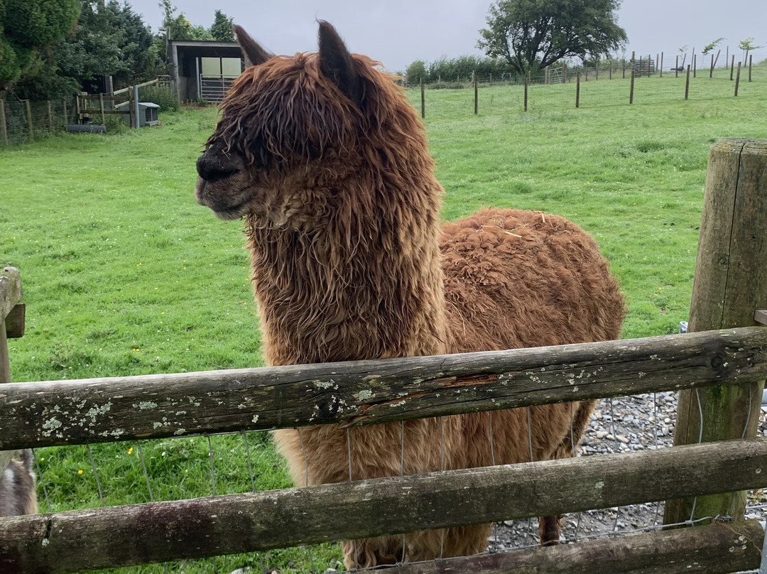 Snowdonia Holidays - Tyddyn Du Farm主图