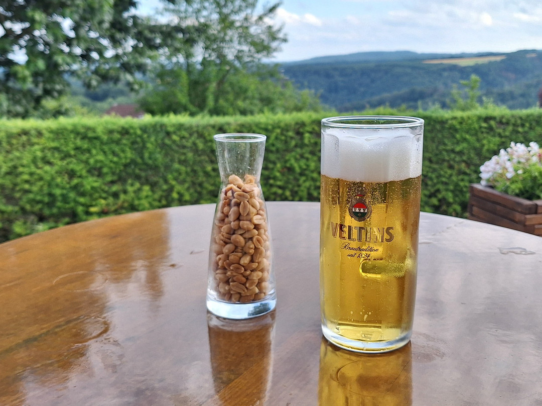 Motorhotel Am Vulkanberg主图