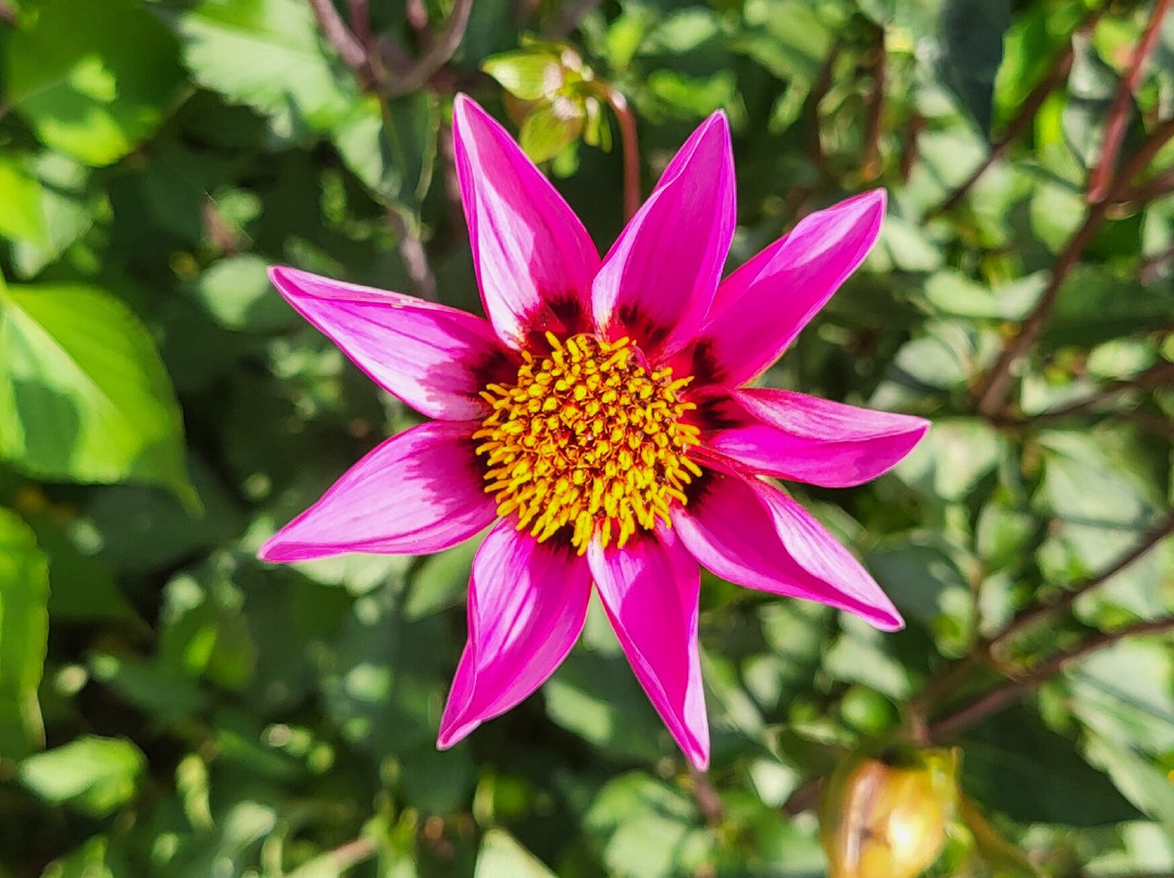 Promenade Fleurie-Mimizan必去景点